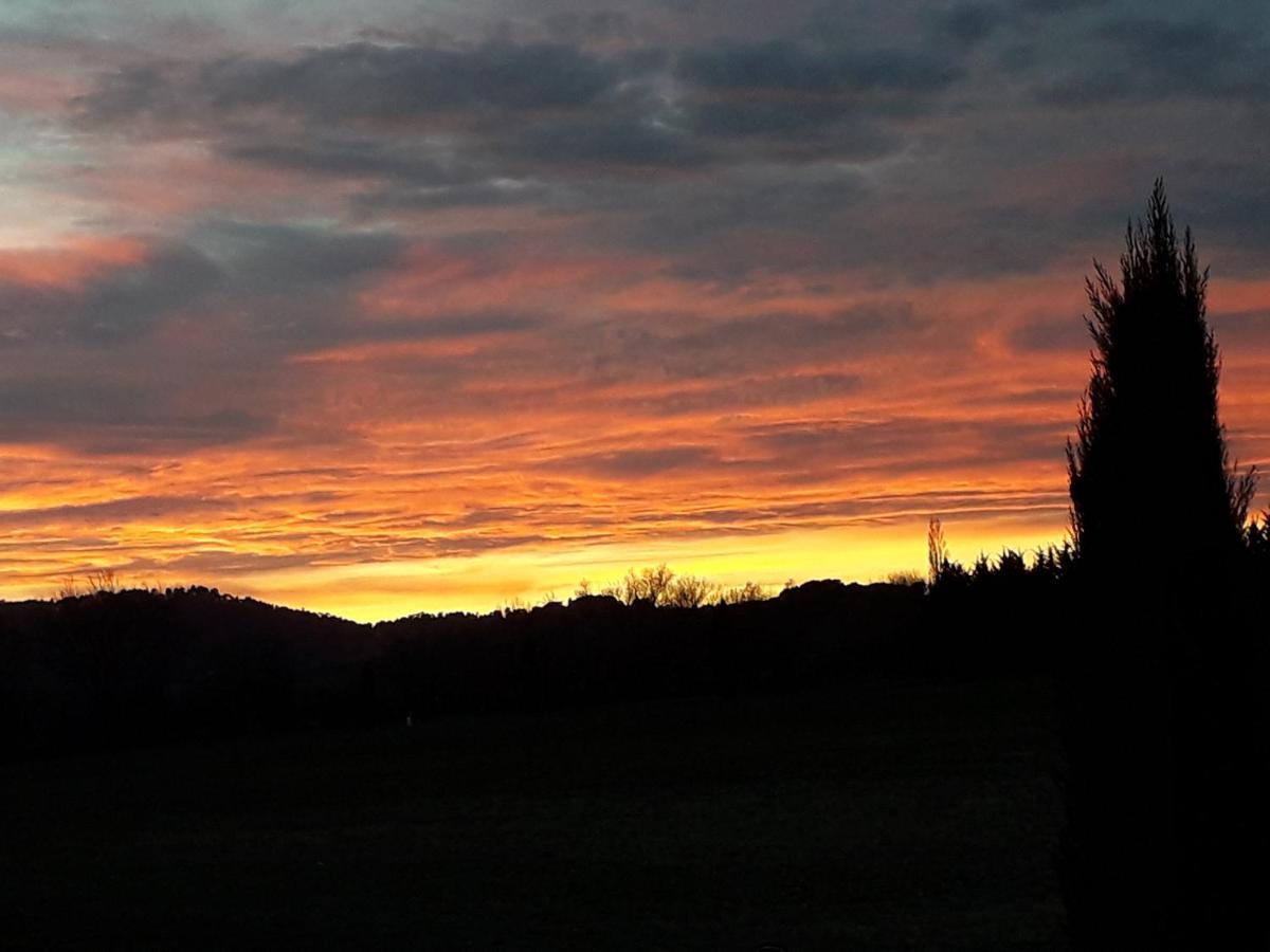 Le Mas De La Glycine Roussillon en Isere Esterno foto