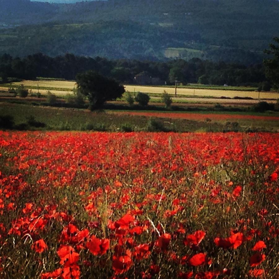 Le Mas De La Glycine Roussillon en Isere Esterno foto